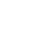 Logo ds